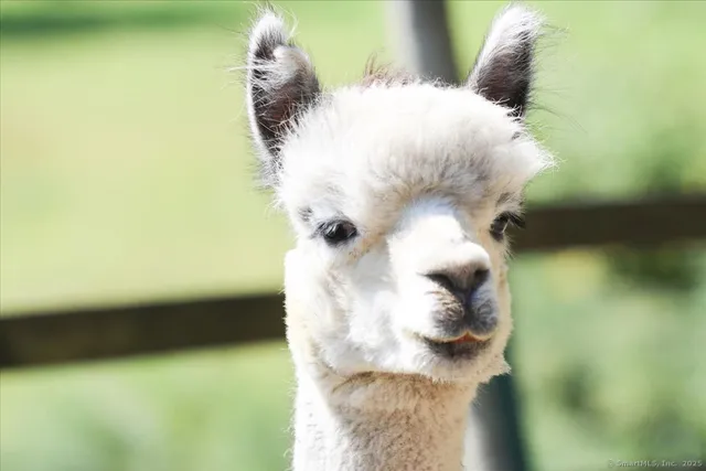 $3,300 | 155 Squash Hollow Road, New Milford, CT 06776