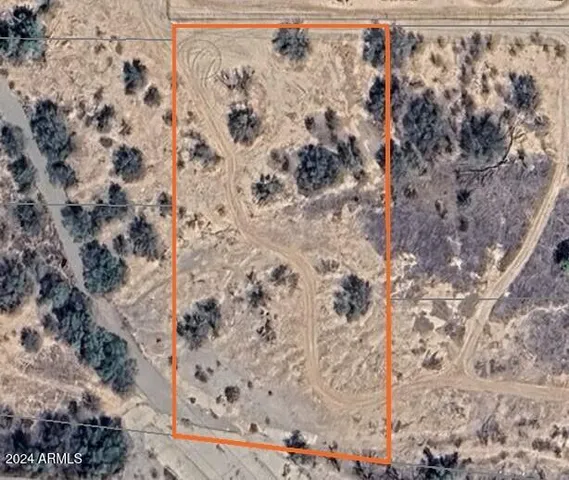 a view of a dry yard with trees