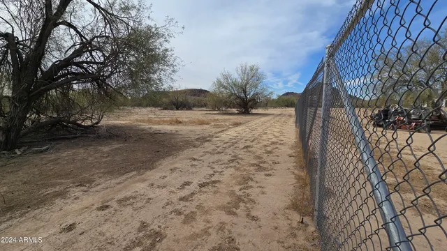 a view of dirt field with trees