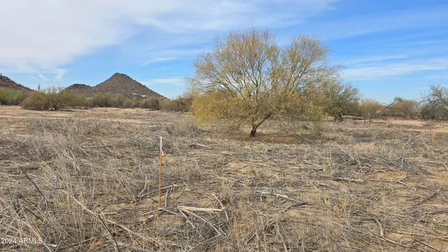 a view of dirt yard with trees