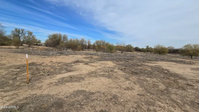 a view of dirt field with trees in background