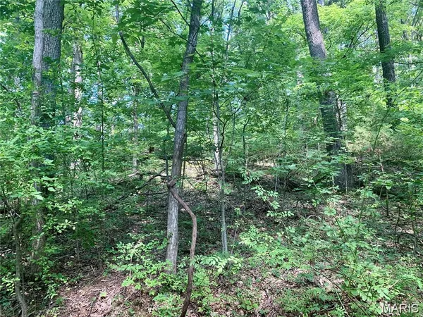 $75,000 | Lot 2 Dogwood Acres, Imperial, MO 63052