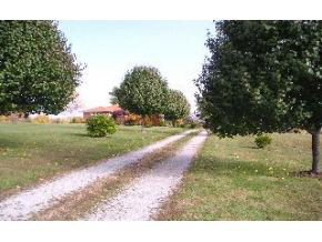 2511 South Garrison Chapel Road Bloomington, IN 47403 - Photo 3 of 11 Gallery Image 3