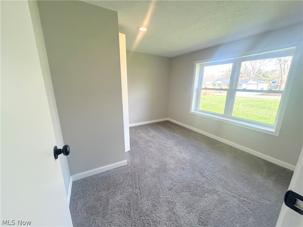 558 Lessig Avenue Akron, OH 44312 - Photo 12 of 15 Unfurnished room featuring carpet floors and a textured ceiling