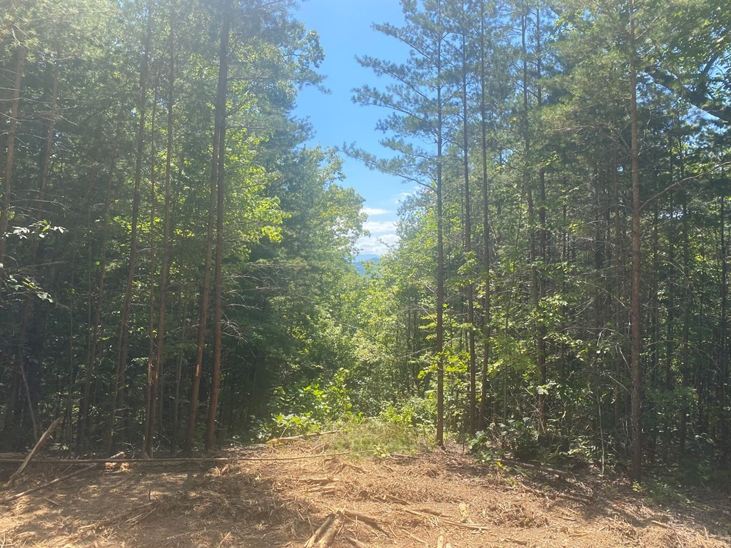 1882 Obes Branch Road Sevierville, TN 37876 - Photo 8 of 11