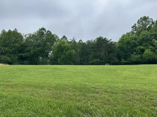 $39,900 | Lot 2 Hales Ford Road, Moneta, VA 24121