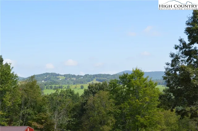 a view of a city with lush green forest
