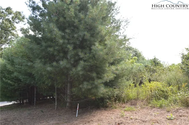 a view of a yard with a tree