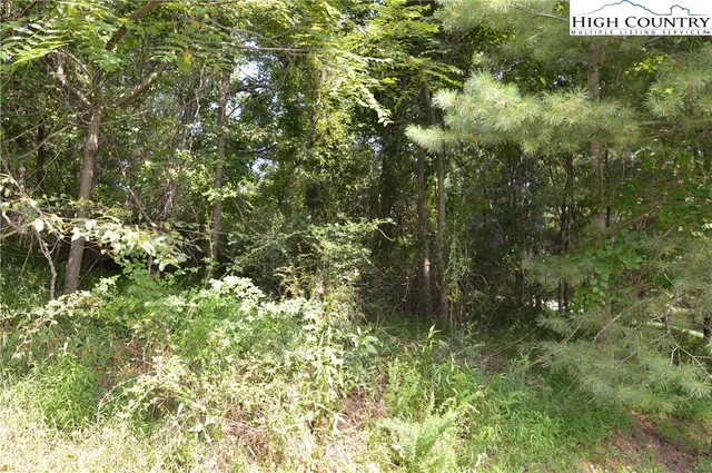 a view of a mountain range with trees in the background