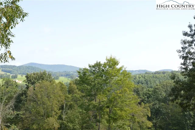 a view of a tree with a tree