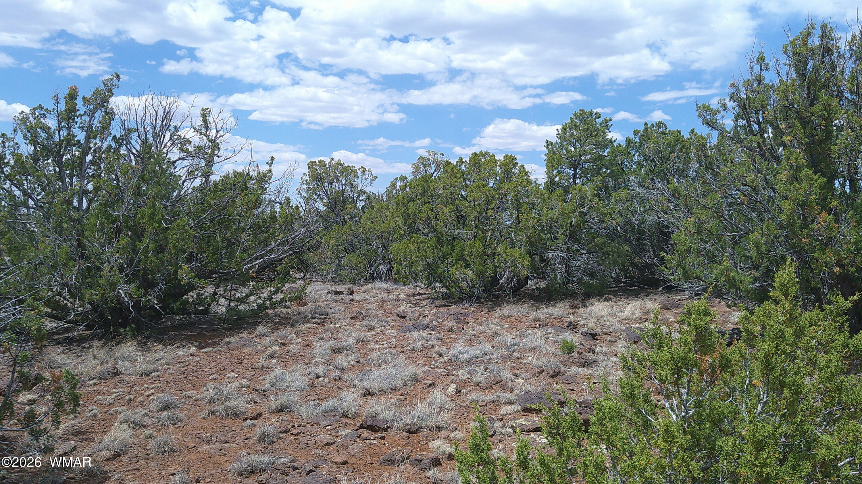 74 Co Road Concho, AZ 85924 - Photo 5 of 11 DSCF0003
