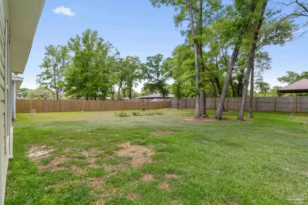 a view of garden with trees