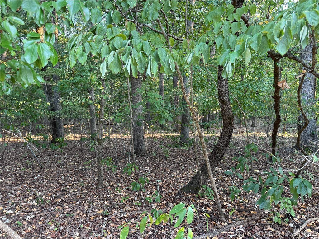 Tbd Point Charles Road Sunrise Beach, MO 65079 - Photo 39 of 65 Gallery Image 39