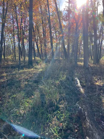 $225,000 | County Road, Waupaca, WI 54981