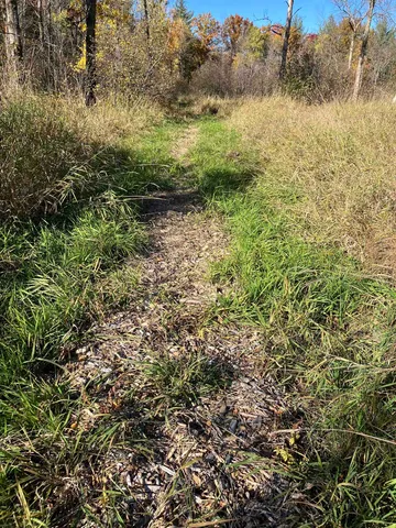 $225,000 | County Road, Waupaca, WI 54981