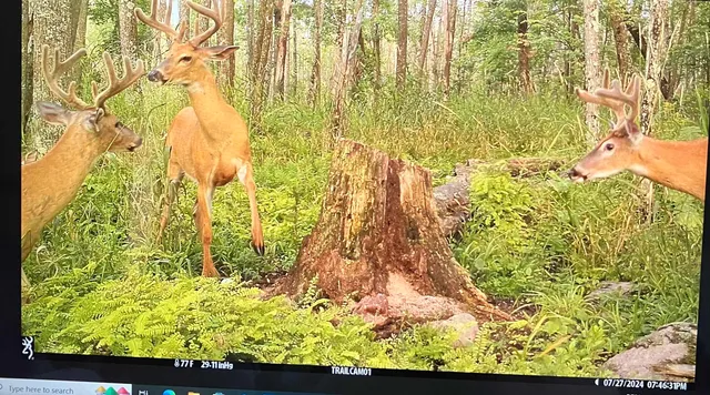 $225,000 | County Road, Waupaca, WI 54981