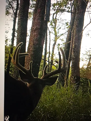 $225,000 | County Road, Waupaca, WI 54981