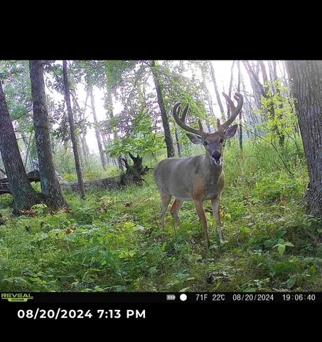 $225,000 | County Road, Waupaca, WI 54981