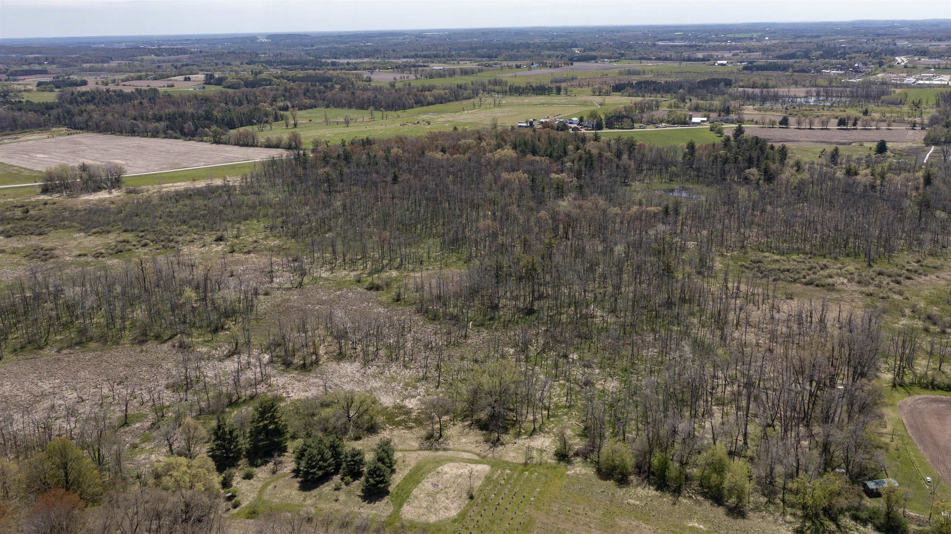 County Road Waupaca, WI 54981 - Photo 2 of 34