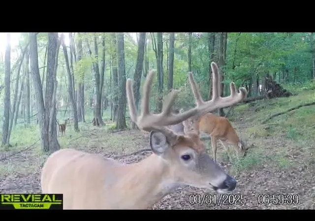 $225,000 | County Road, Waupaca, WI 54981