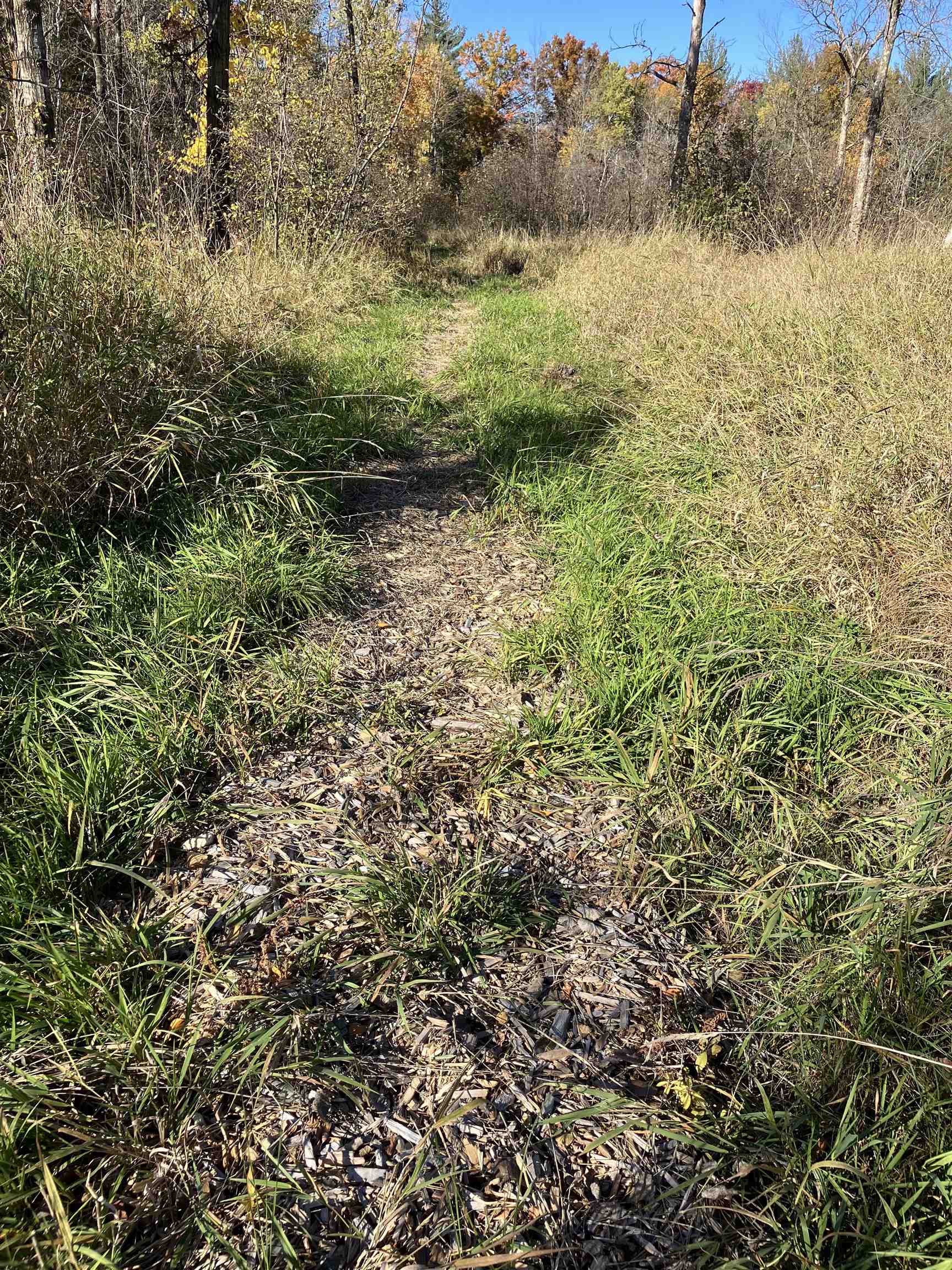 County Road Waupaca, WI 54981 - Photo 24 of 34