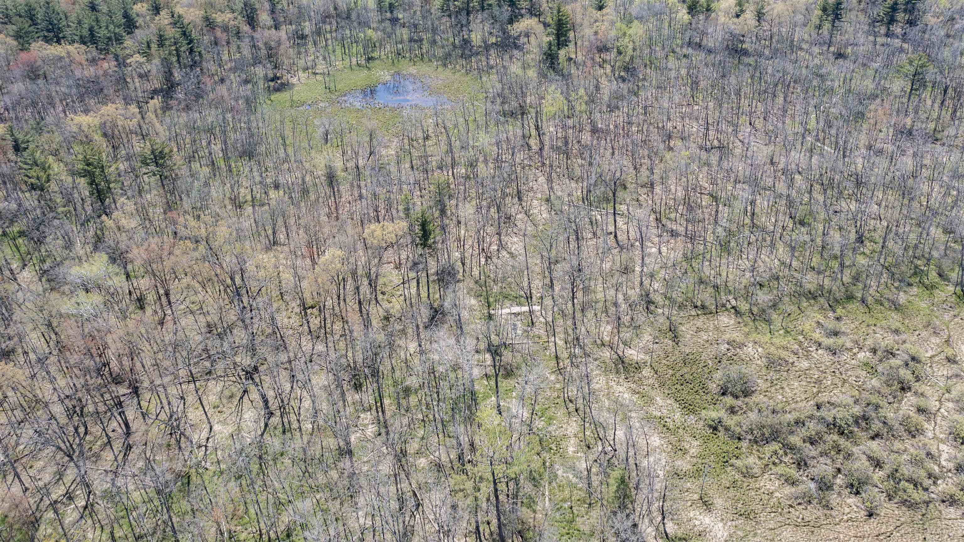 County Road Waupaca, WI 54981 - Photo 5 of 34