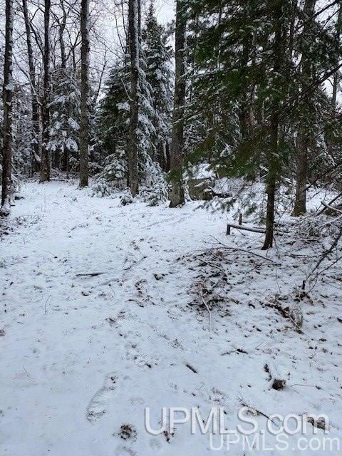 Tbd Tbd Northwoods Road Marquette, MI 49855 - Photo 30 of 31