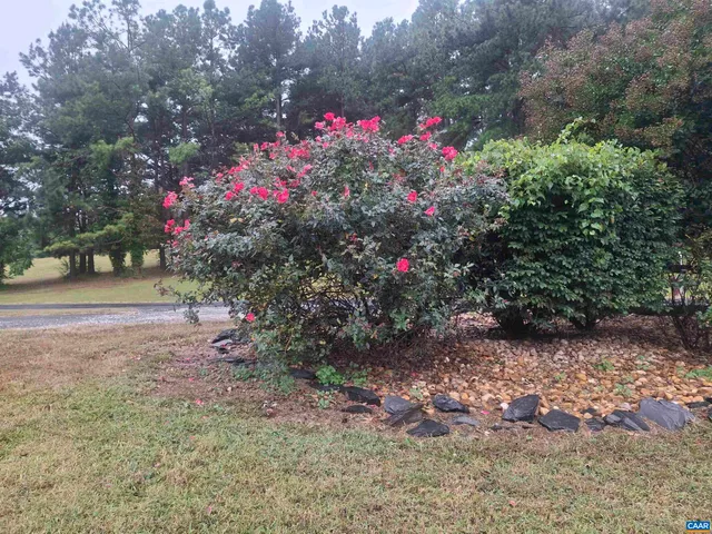 a view of a backyard with flowers and trees