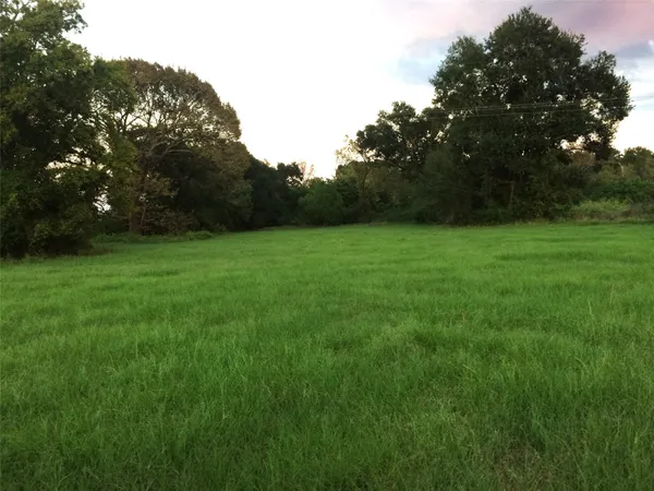 a view of field with trees in the background