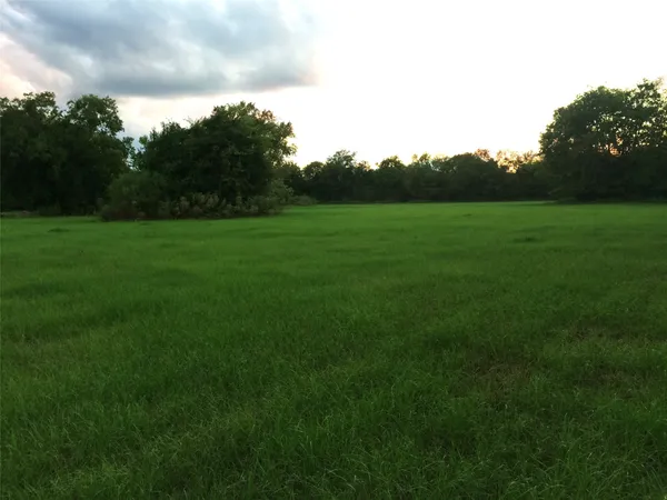 a view of a grassy field with trees