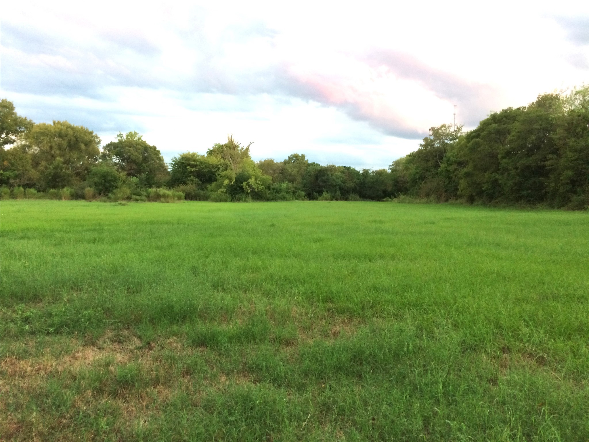 347 East Caroline Street Trinity, TX 75862 - Photo 5 of 8