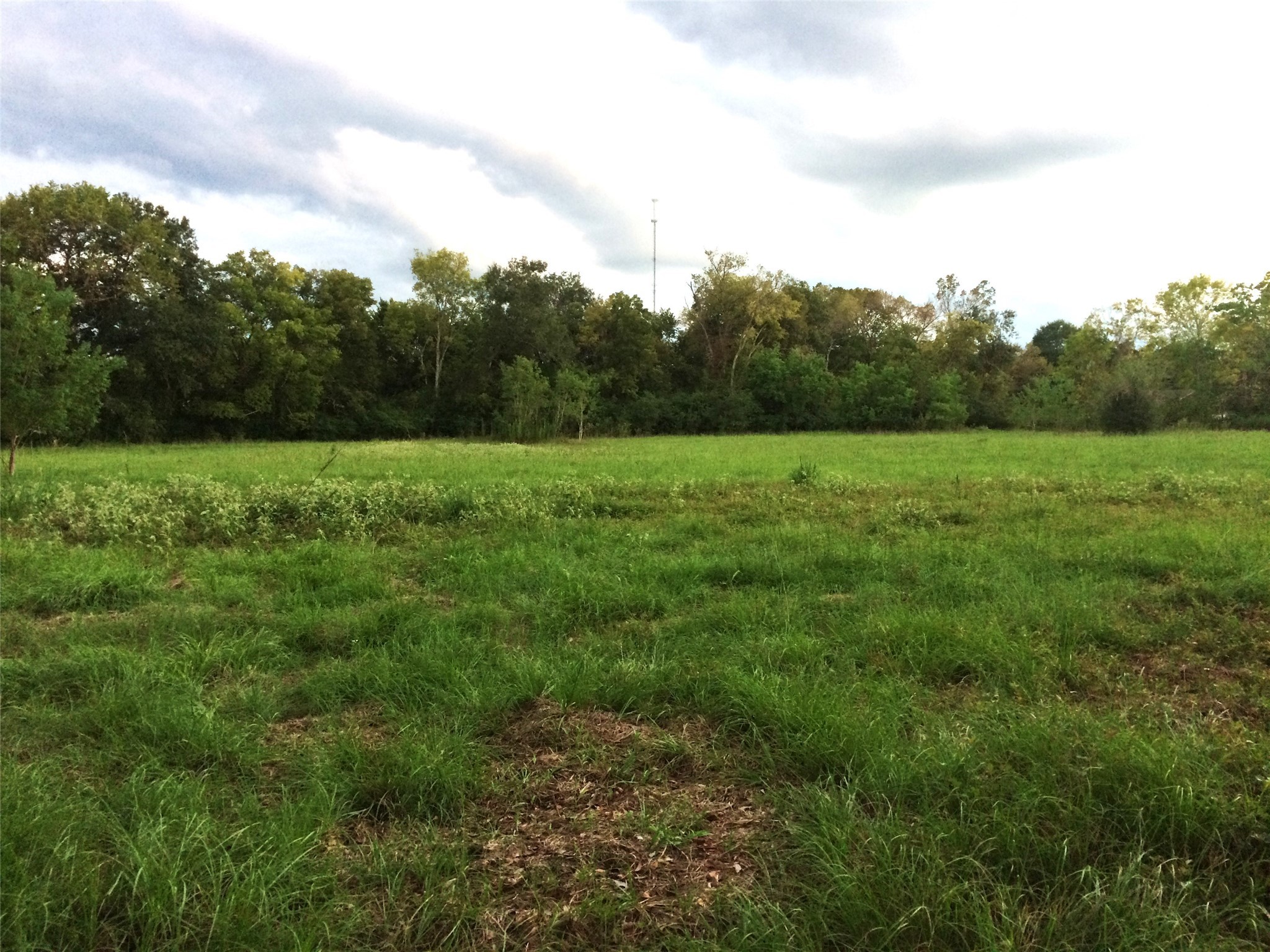 347 East Caroline Street Trinity, TX 75862 - Photo 7 of 8