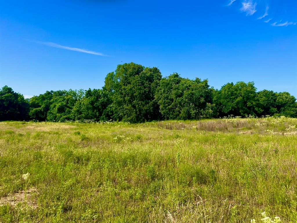 Lot 65 Kilkenny Road Poolville, TX 76487 - Photo 2 of 9