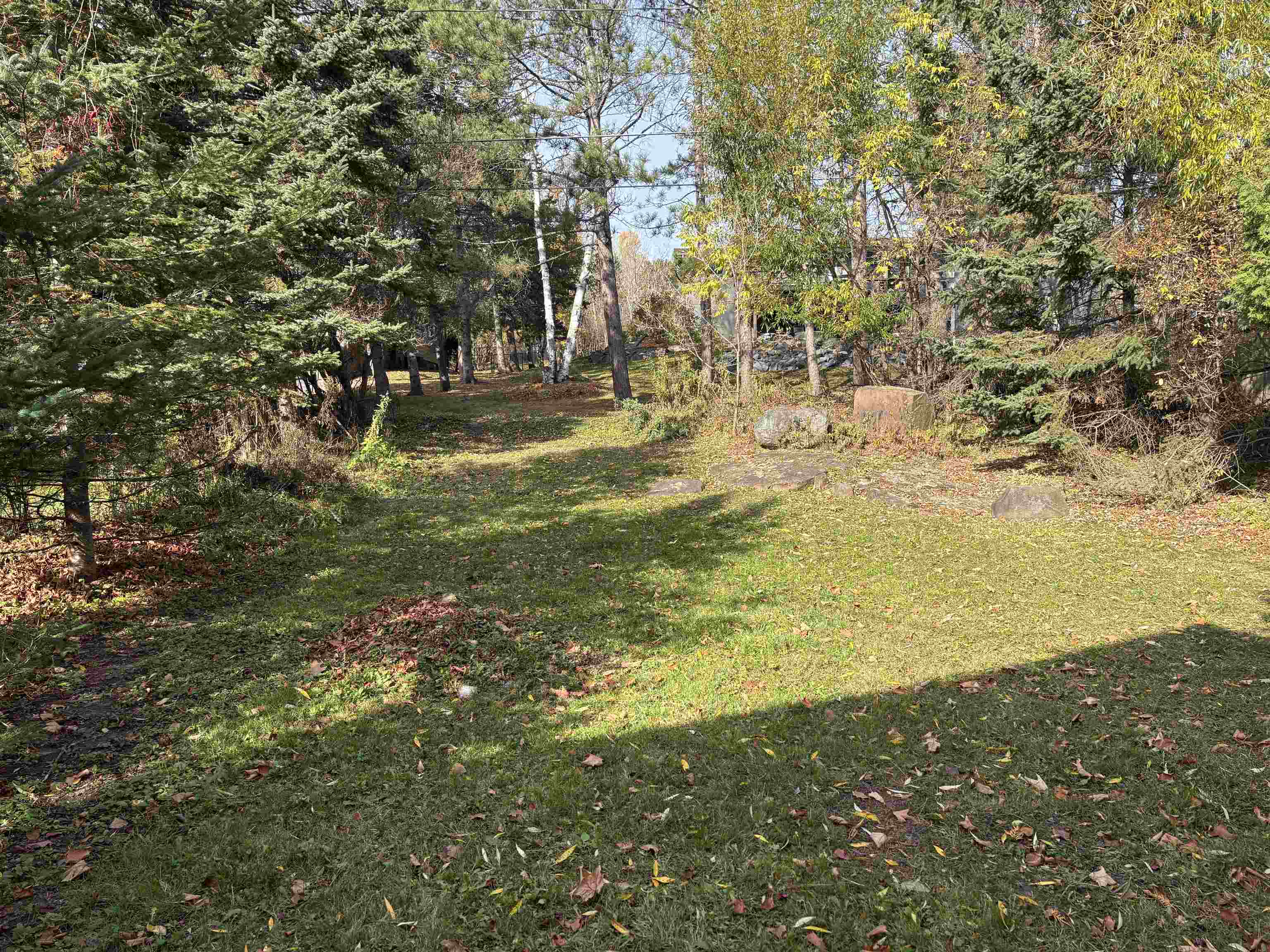 2515 Jefferson Street Duluth, MN 55812 - Photo 6 of 25 View of grassy yard