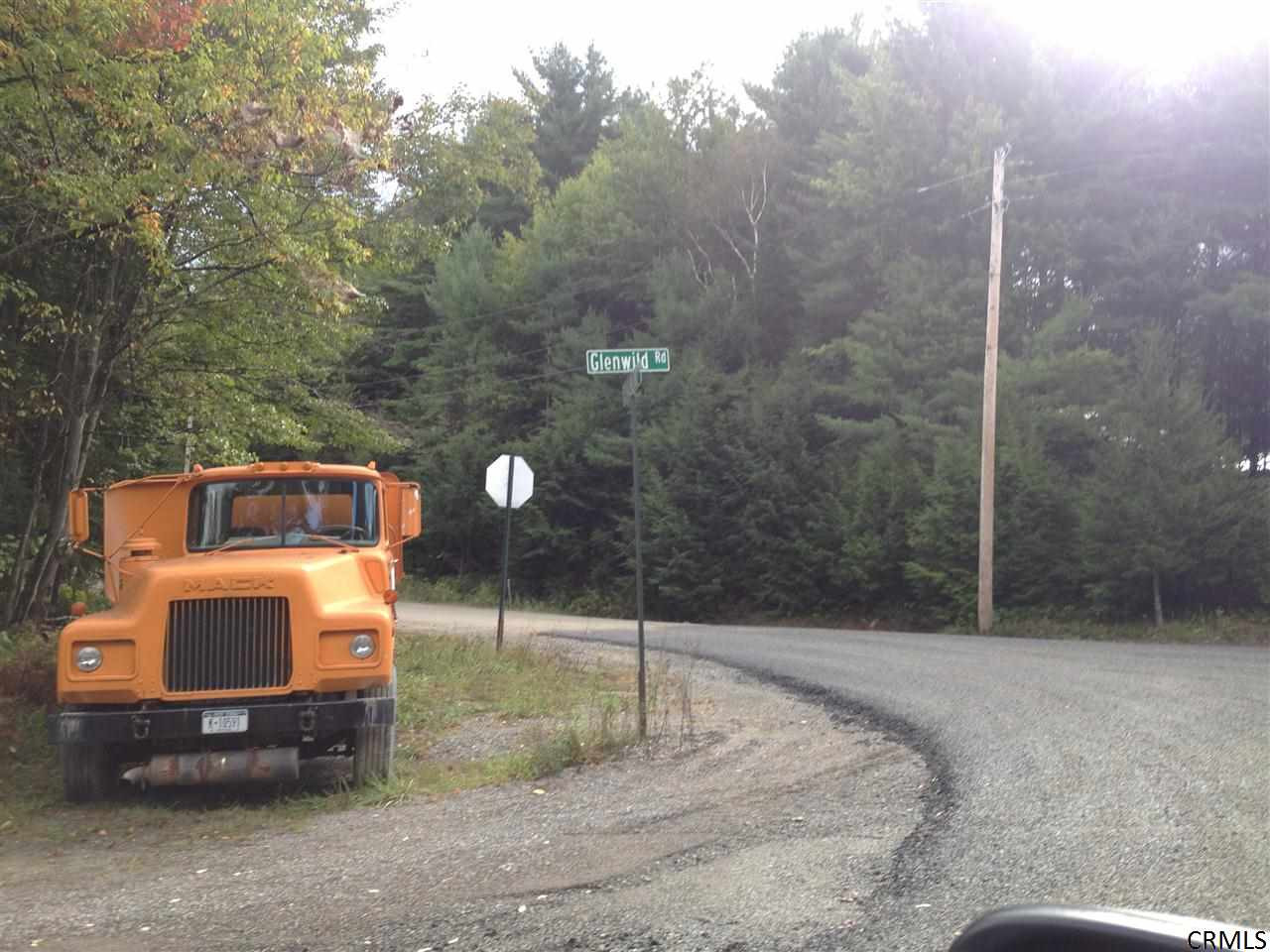 0 Center Line Road Middle Grove, NY 12850 - Photo 3 of 6 Photo 6