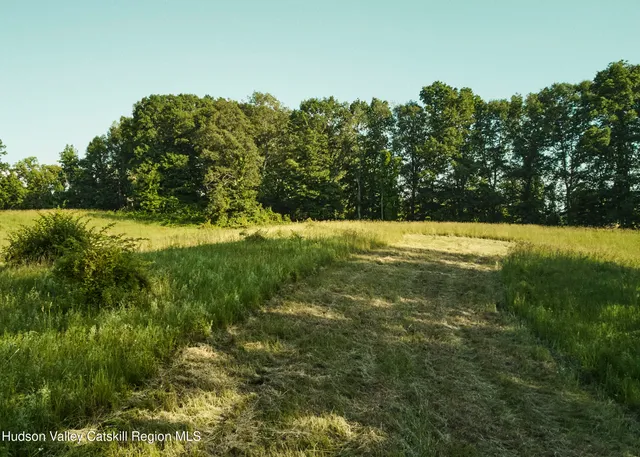 a view of a field with a tree