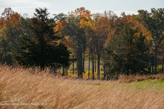 a view of outdoor space with trees