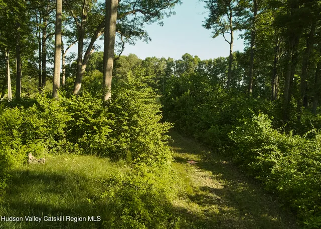 a view of a large yard