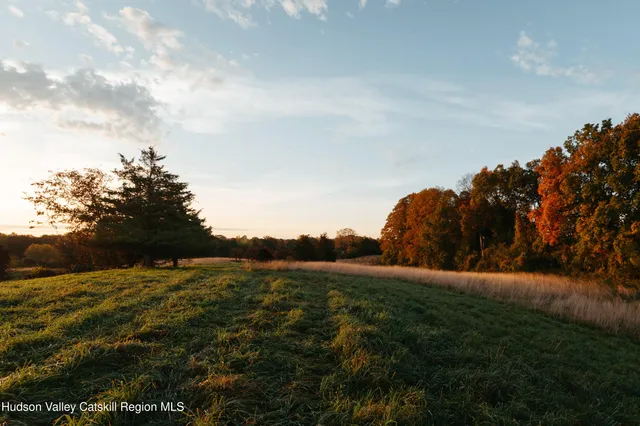 a view of grassy field with mountain
