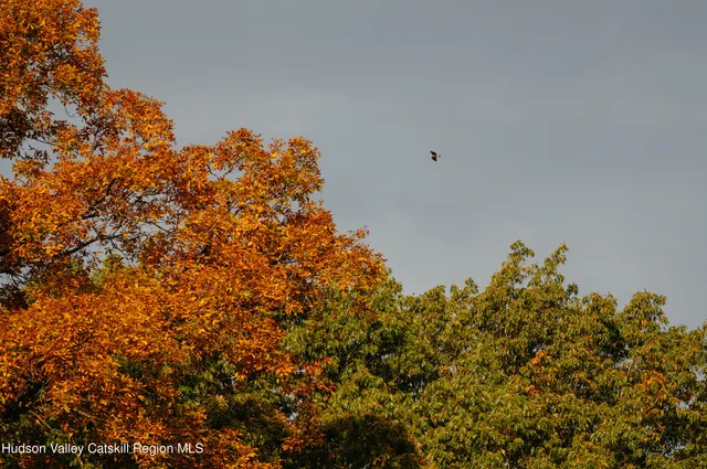 a backyard of a house