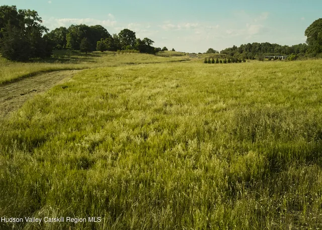 a view of a lake with a yard