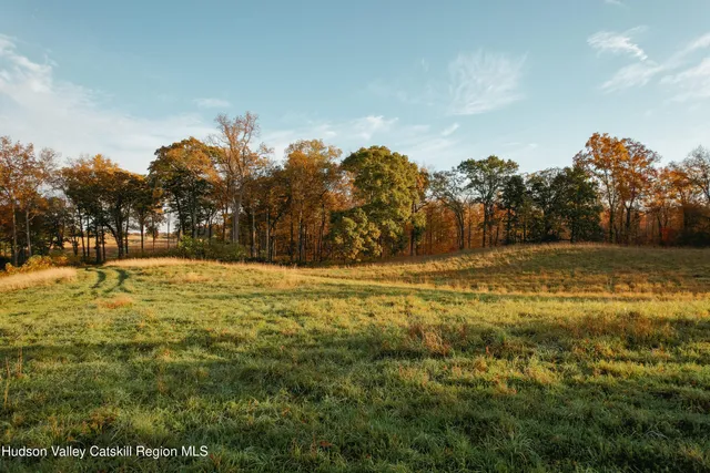 a view of large yard with large trees