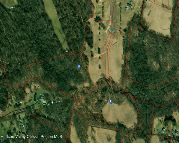 a view of a plant in a garden