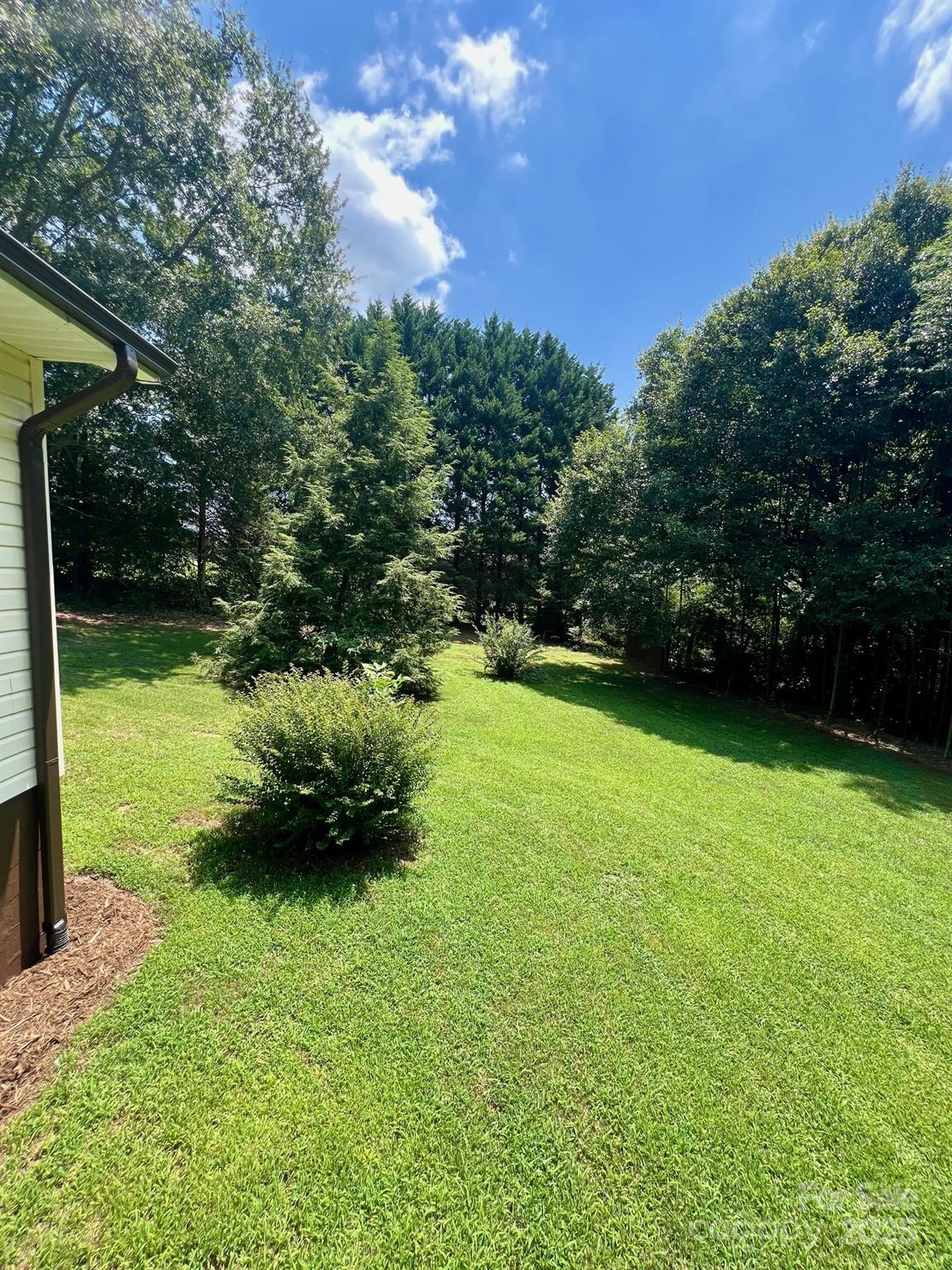 4506 Rink Dam Road Taylorsville, NC 28681 - Photo 18 of 20