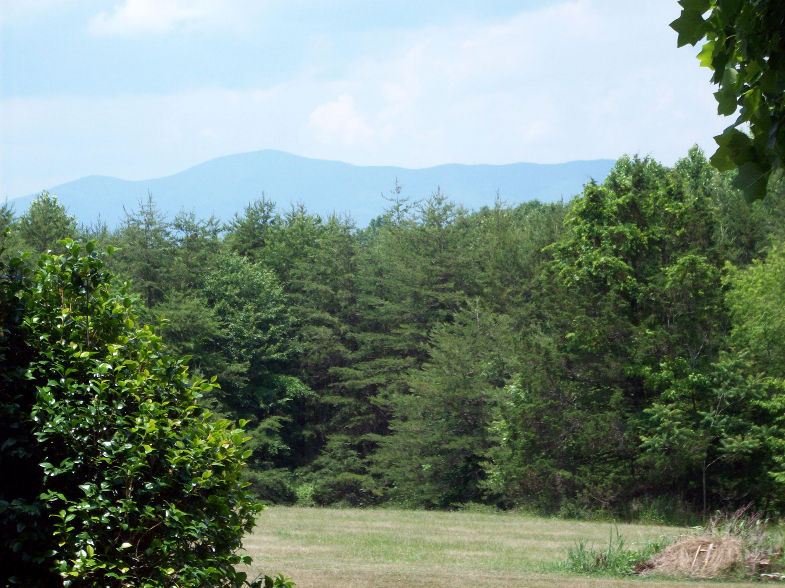 2350 Blue Bend Road Rocky Mount, VA 24151 - Photo 4 of 19 View