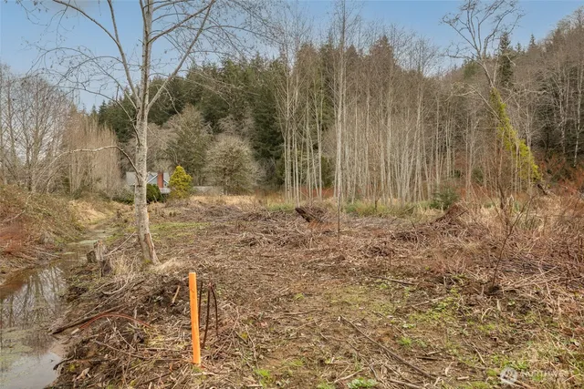 a backyard of a house with lots of green space