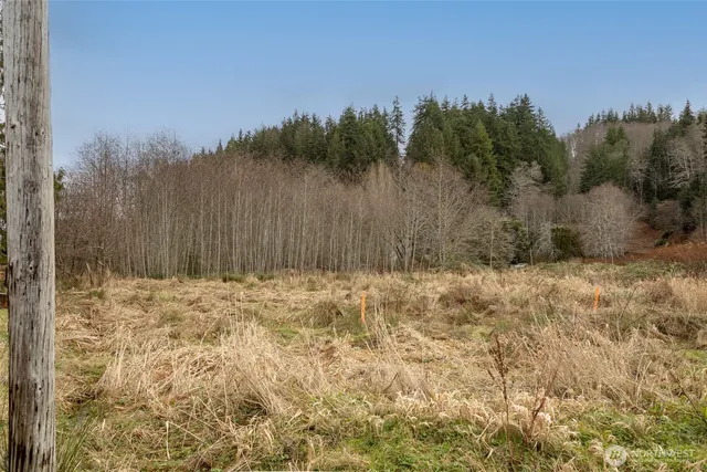 a view of a backyard of the house