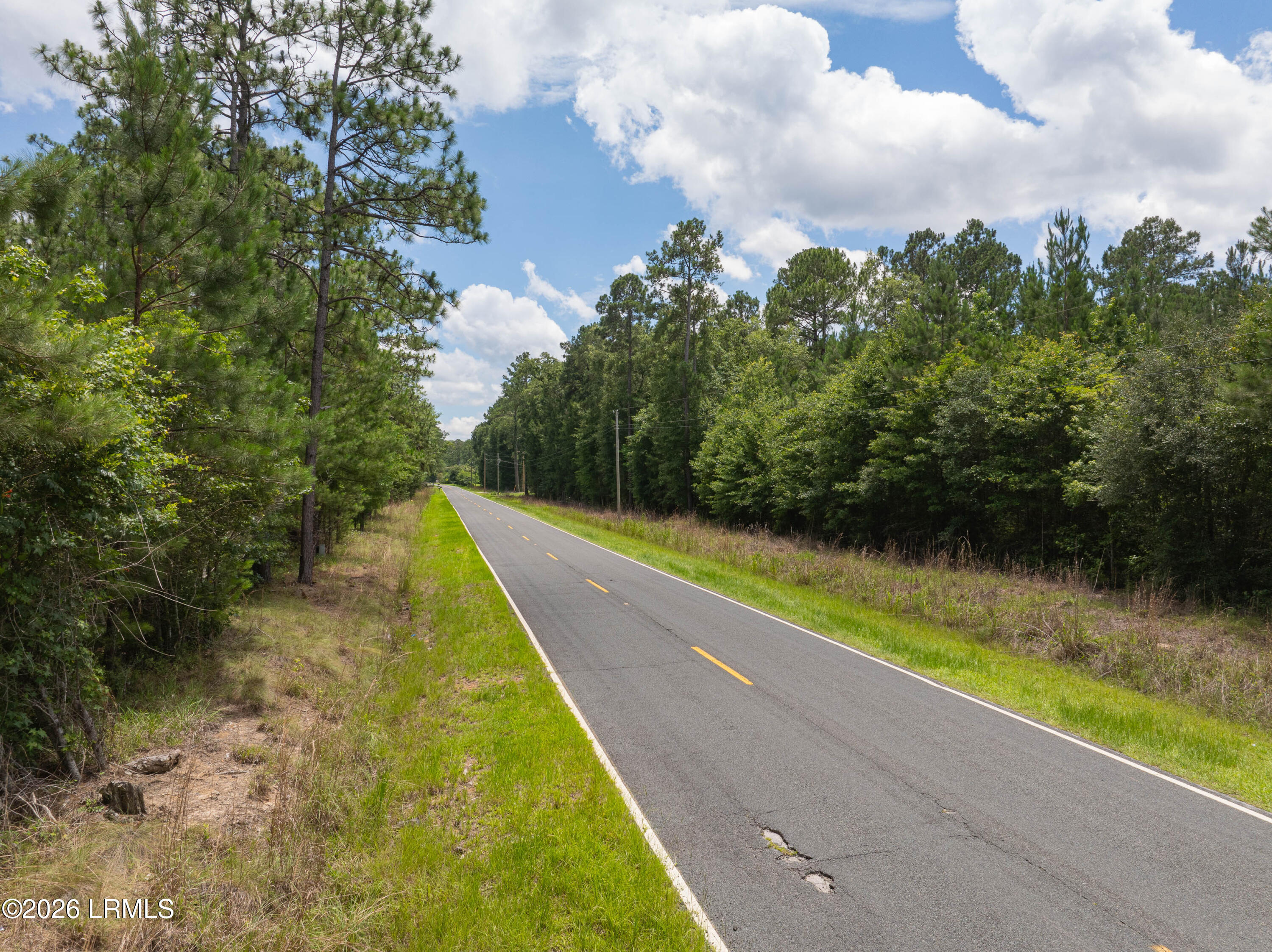 Tbd Purrysburg Road Hardeeville, SC 29927 - Photo 19 of 19 Purrysburg Land-19