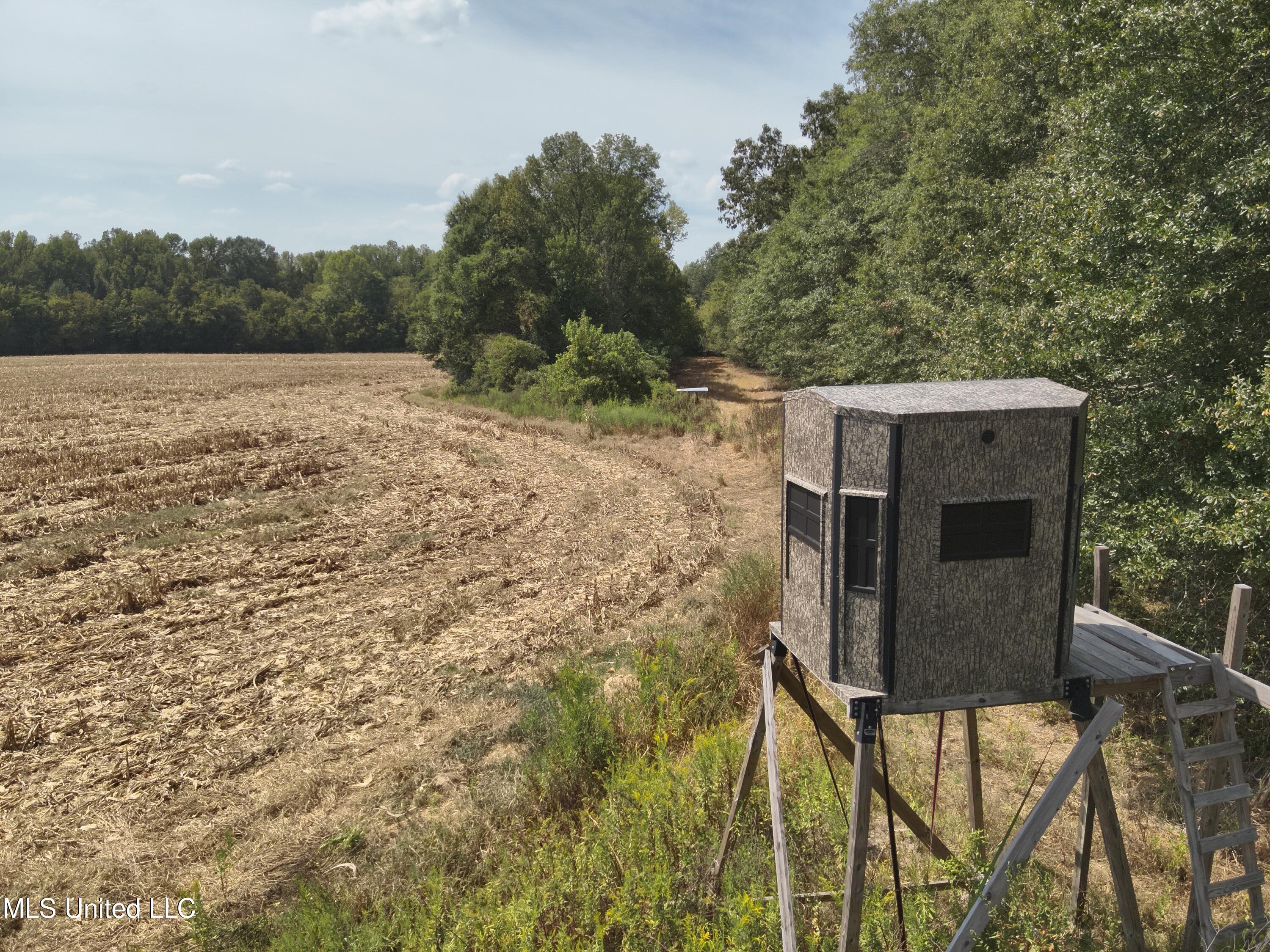 800 Black Jack Road Benton, MS 39039 - Photo 1 of 12 Land