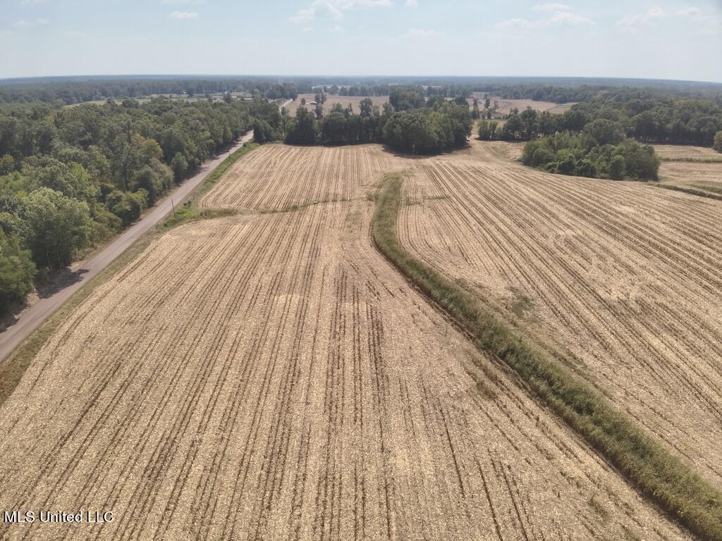 800 Black Jack Road Benton, MS 39039 - Photo 11 of 12 B8EB27AA-D8A5-41AF-A5C9-6E4D658E8580_1_1